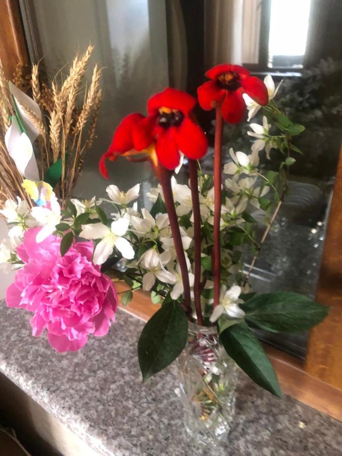 L&A Guest House Goris Bagian luar foto